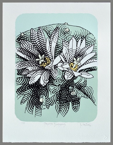 MCH_Artworks_ARTW000001858.jpg