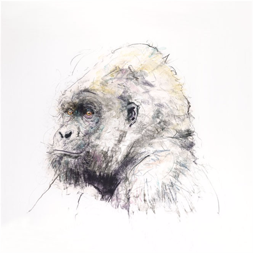 MCH_Artworks_ARTW000002217.png