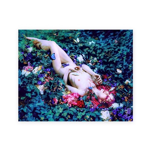 MCH_Artworks_ARTW000002477.jpg