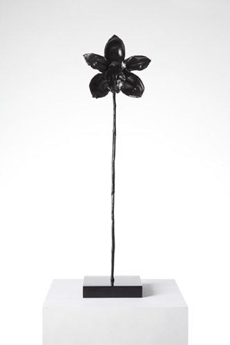 MCH_Artworks_ARTW000002907.jpg