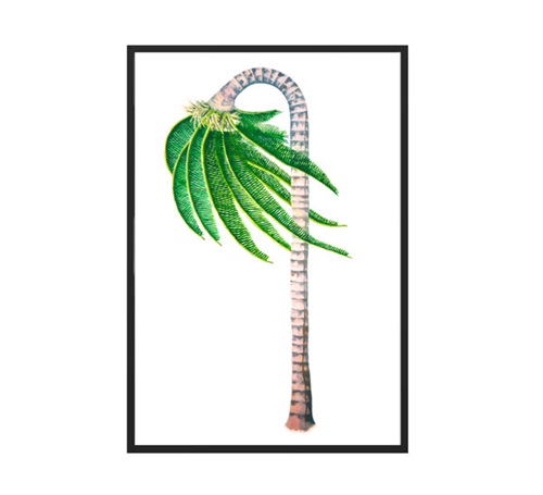 MCH_Artworks_ARTW000004586.jpg