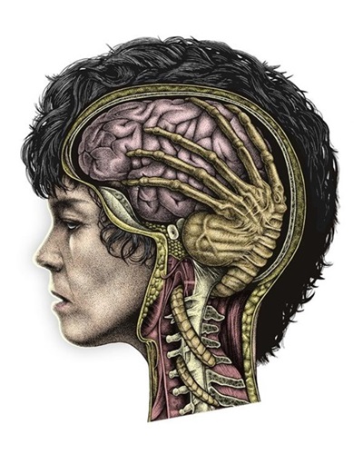 MCH_Artworks_ARTW000005361.jpg