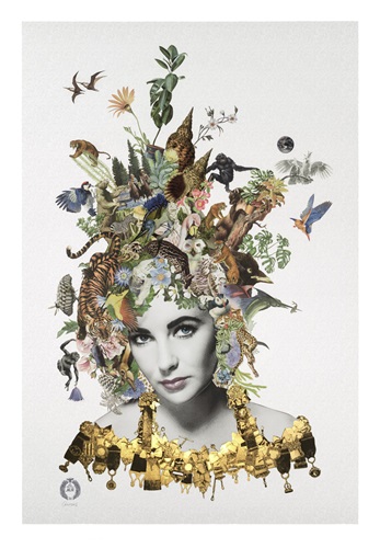 MCH_Artworks_ARTW000005573.jpg