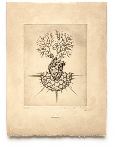 MCH_Artworks_ARTW000005803.jpg