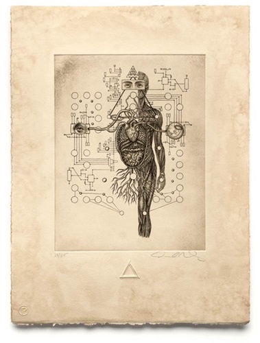 MCH_Artworks_ARTW000006039.jpg