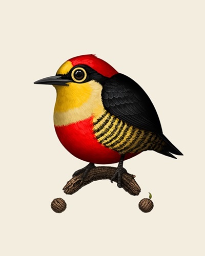 MCH_Artworks_ARTW000006439.jpg