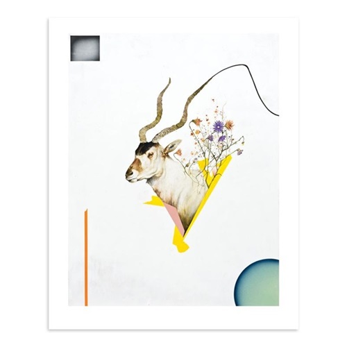 MCH_Artworks_ARTW000006879.jpg