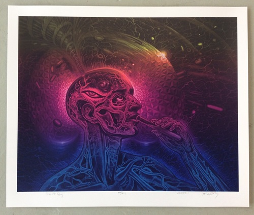 MCH_Artworks_ARTW000007570.jpg