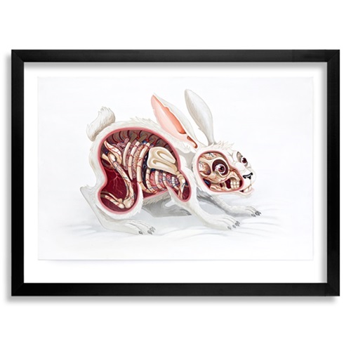 MCH_Artworks_ARTW000007652.jpg