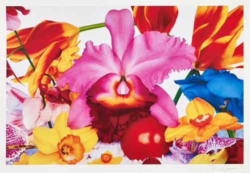 MCH_Artworks_ARTW000007800.jpg