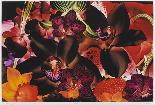 MCH_Artworks_ARTW000007894.jpg