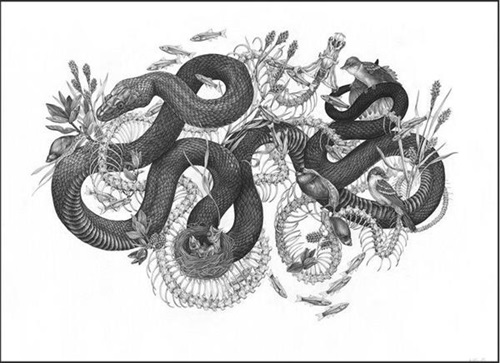 MCH_Artworks_ARTW000008205.jpg