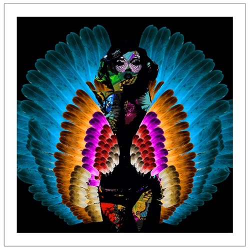 MCH_Artworks_ARTW000008369.jpg