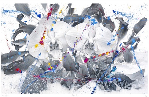 MCH_Artworks_ARTW000008626.jpg