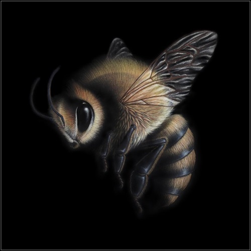 MCH_Artworks_ARTW000008785.jpg