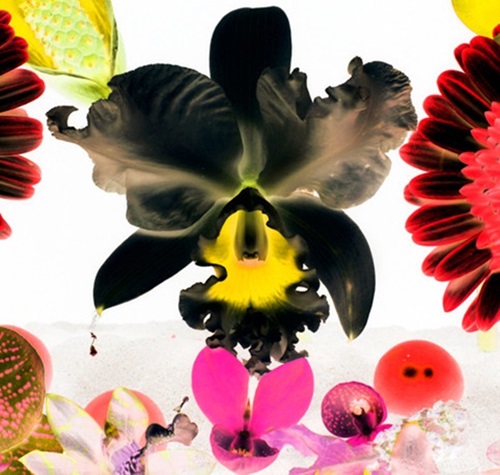 MCH_Artworks_ARTW000008878.jpg