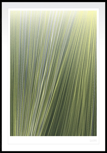 MCH_Artworks_ARTW000009114.jpg