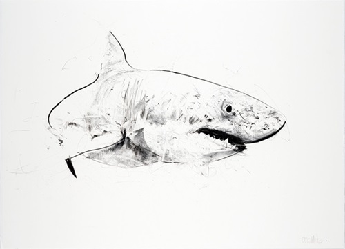 MCH_Artworks_ARTW000009965.jpg