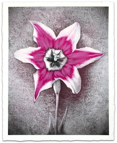 MCH_Artworks_ARTW000010959.jpg