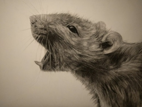 MCH_Artworks_ARTW000011215.jpg