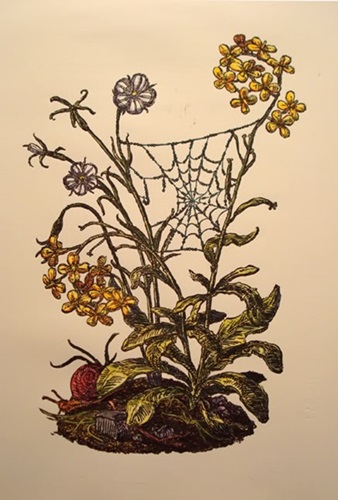 MCH_Artworks_ARTW000011773.jpg