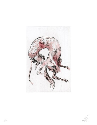 MCH_Artworks_ARTW000012725.jpg