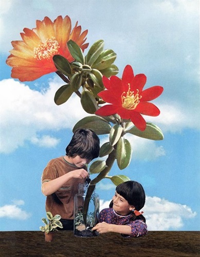 MCH_Artworks_ARTW000013260.jpg