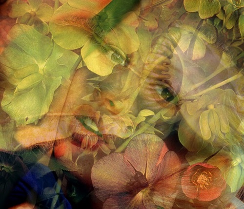 MCH_Artworks_ARTW000013742.jpg