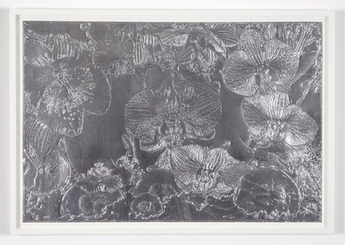 MCH_Artworks_ARTW000014420.jpg