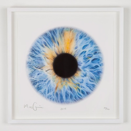 MCH_Artworks_ARTW000014536.jpg