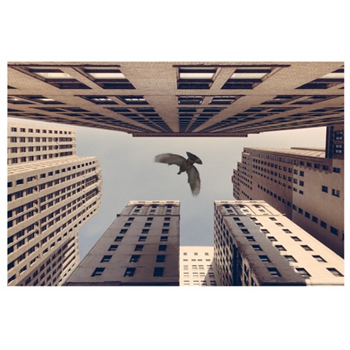 MCH_Artworks_ARTW000015724.jpg