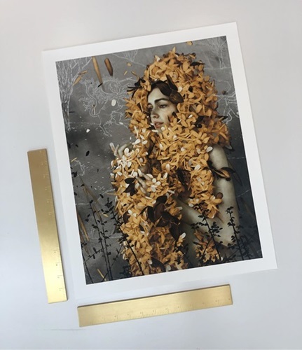 MCH_Artworks_ARTW000017442.jpg