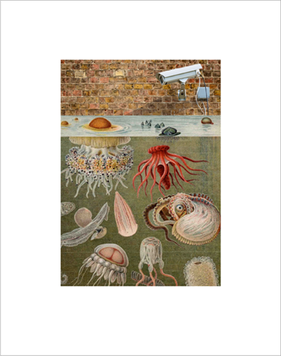 MCH_Artworks_ARTW000018222.png