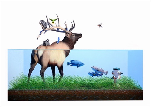 MCH_Artworks_ARTW000019135.jpg