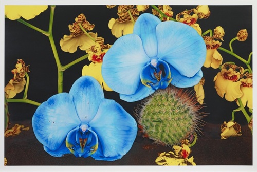 MCH_Artworks_ARTW000019490.jpg