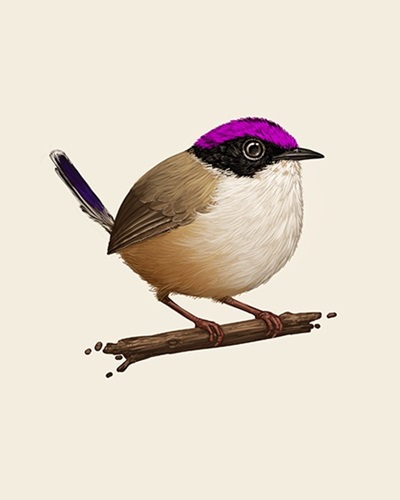 MCH_Artworks_ARTW000100268.jpg