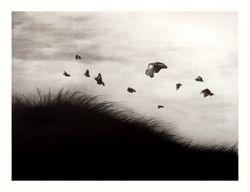 MCH_Artworks_ARTW000101323.jpg