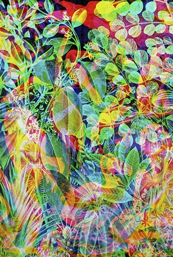 MCH_Artworks_ARTW000103180.jpg
