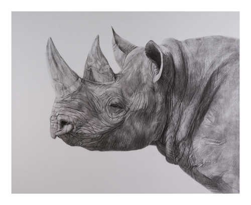 MCH_Artworks_ARTW000104779.png