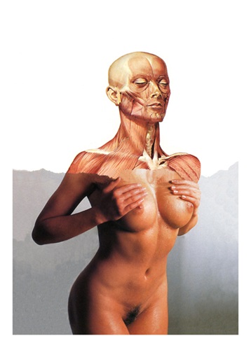 MCH_Artworks_ARTW000105302.jpg