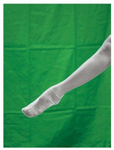 MCH_Artworks_ARTW000105403.gif