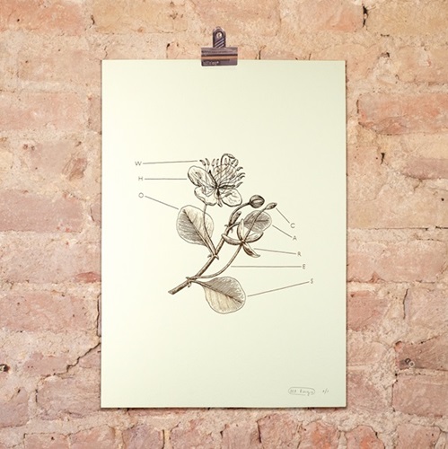 MCH_Artworks_ARTW000105608.jpg