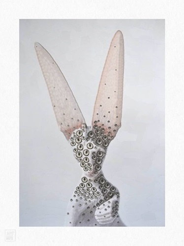 MCH_Artworks_ARTW000107276.jpg