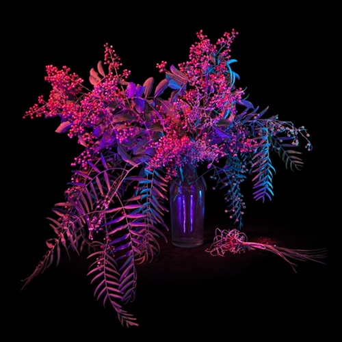 MCH_Artworks_ARTW000108007.jpeg