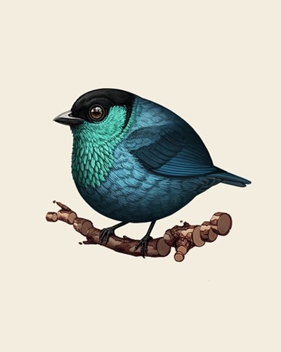 MCH_Artworks_ARTW000108079.jpg