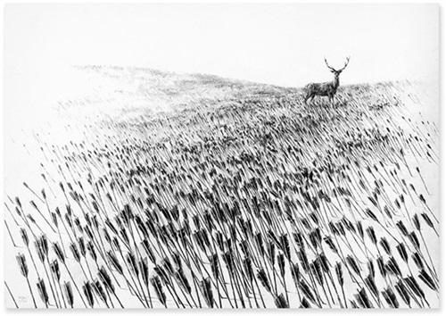 MCH_Artworks_ARTW000108283.jpg