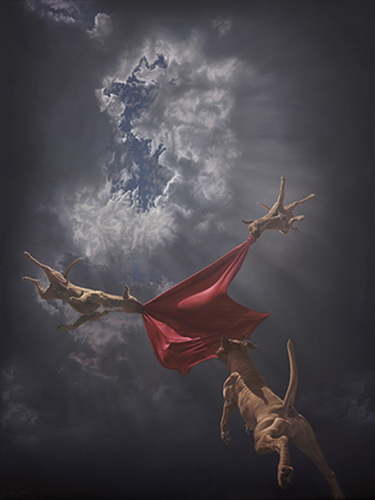MCH_Artworks_ARTW000108411.png