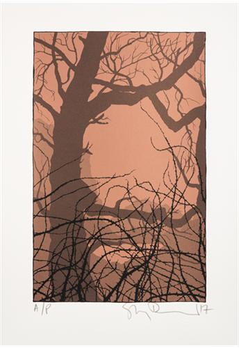 MCH_Artworks_ARTW000109614.png