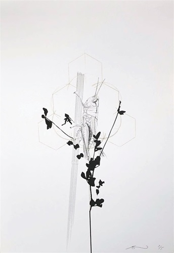 MCH_Artworks_ARTW000109975.jpg