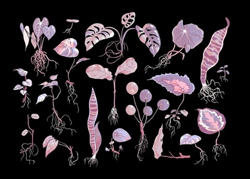 MCH_Artworks_ARTW000110465.jpg